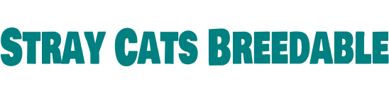 Stray Cats Breedable